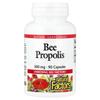 Natural Factors Propolis 500mg, 90 Capsules