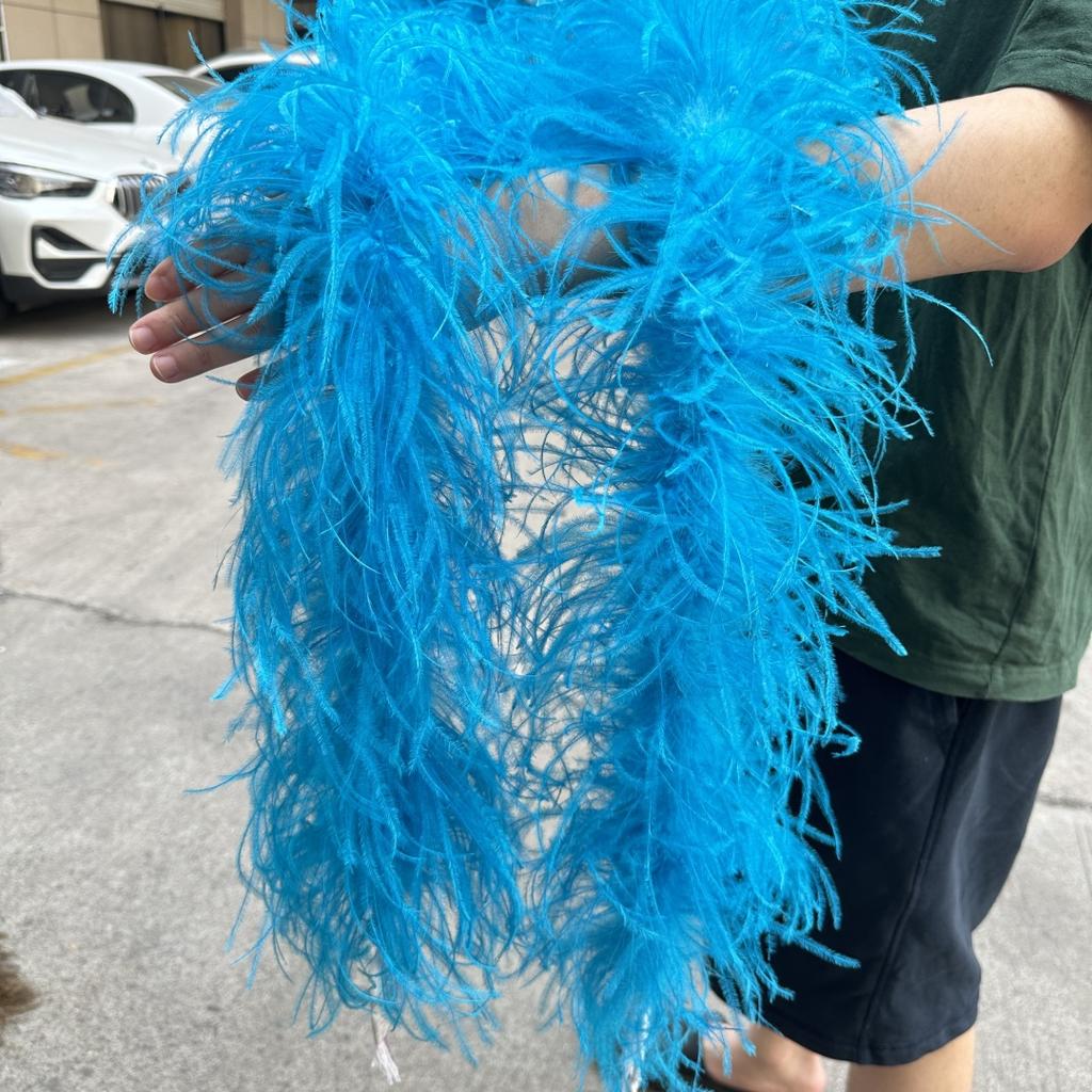 2M Red Ostrich Feathers Boa 1-10Ply Thick Natural Feather Shawl for Wedding Clothing Decoration Sewing Plumes Crafts Accessory