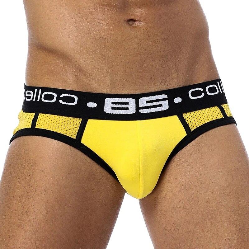 Clearance_Brand 0850 Men Underwear Mesh Qucik-Dry Sexy Men Briefs Breathable Mens Slip Cueca Male Panties Underpants Briefs BS10