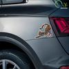 Colorful pattern cat  art stickers, car windows, motorcycle bumper stickers, waterproof reflective stickers