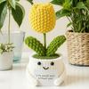 Crochet Cactus Potted Plants, Handmade Knitted Cactus for Home Office Car Decoration, Decorative Plants for Lasting Beauty, Gift for Women Family