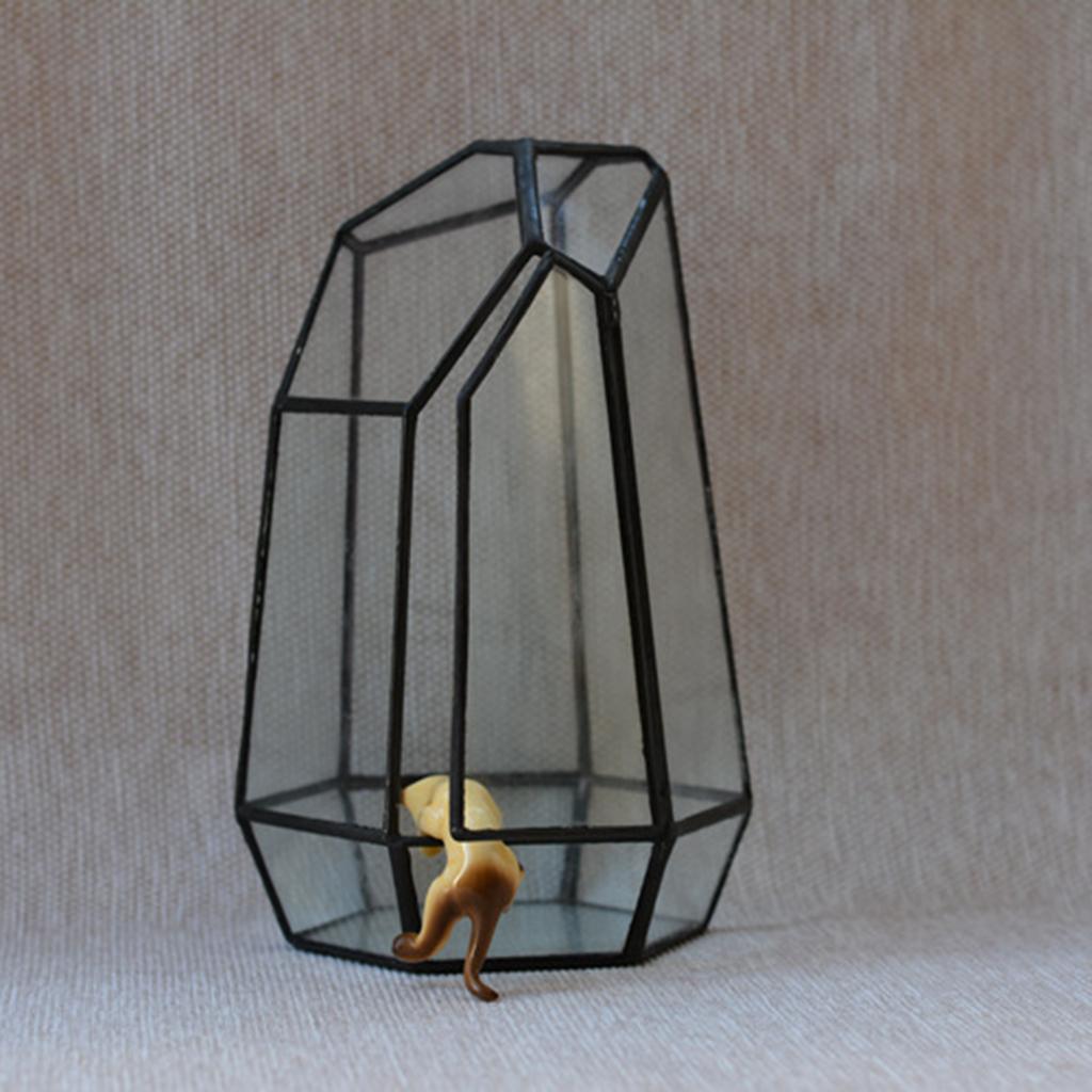 Irregular Transparent Geometric Terrarium Box Crop Planting