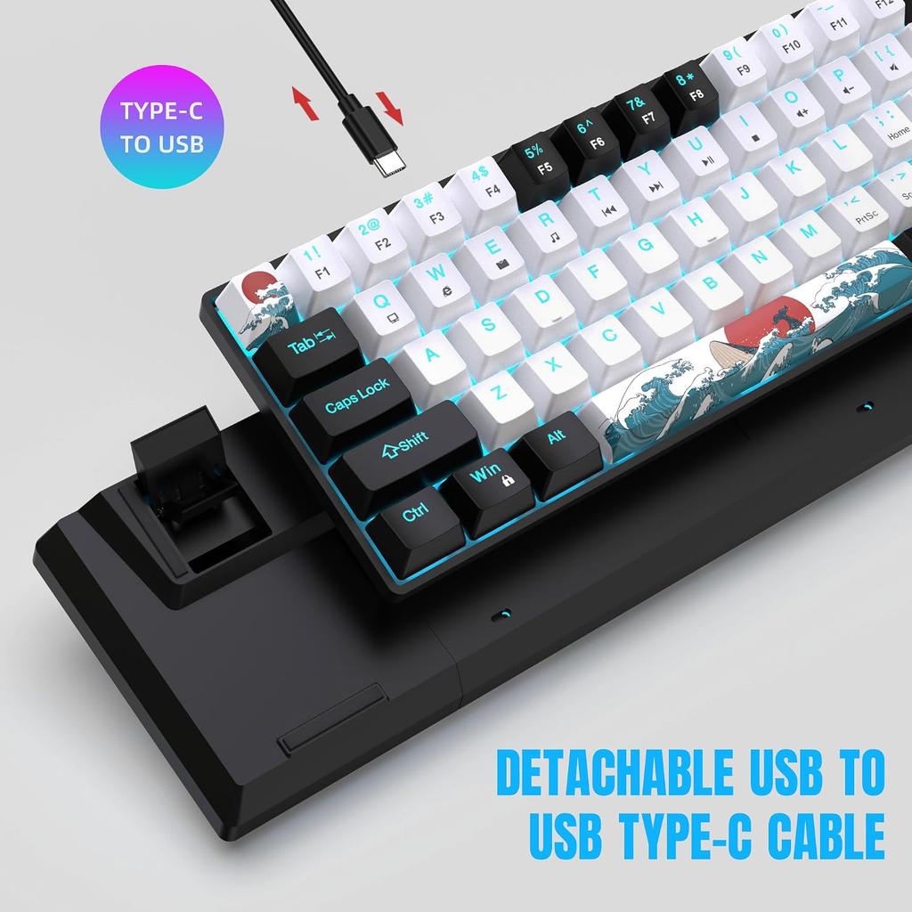68 Keys 60% Mechanical Gaming Keyboard Hot Swappable Blue Switch Ice Blue Backlight Detachable USB-C Cable For Windows Mac Linux