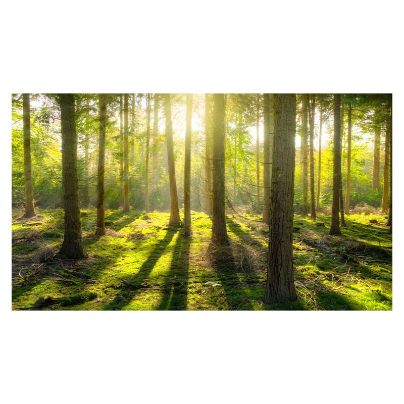 Водопад Живописный Мангровый Лес Пейзаж Холст Настенное Искусство Холст Картины Домашний — фото 11