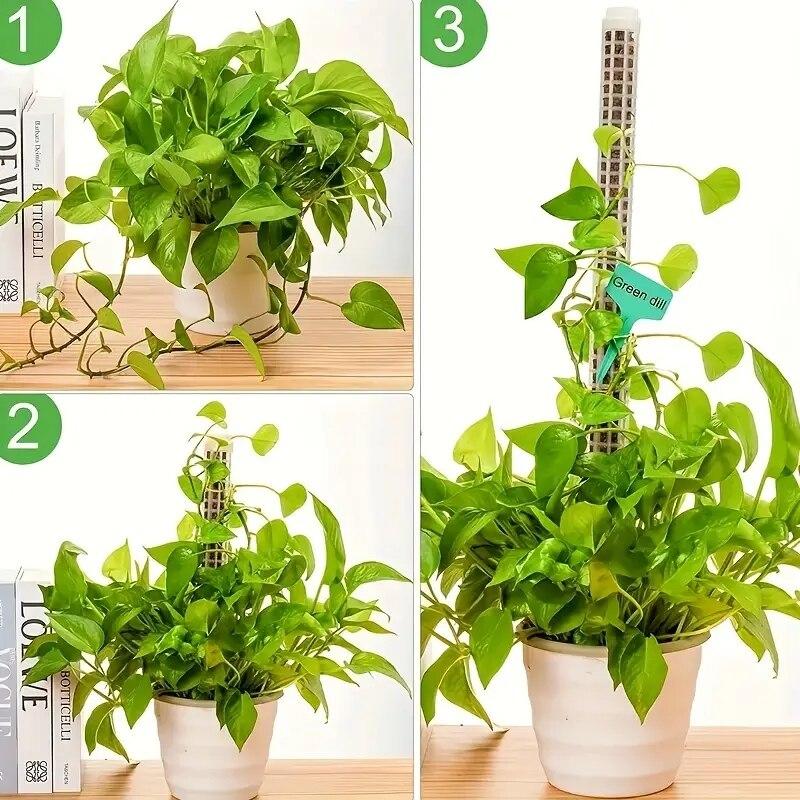 2 Plastic Moss Poles Plant Stakes for Indoor Plants Moss Poles for Monstra Plants and Water Moss Poles