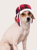 1pc-Make Your Dog Comfortable and Fashionable This Winter: Plaid Hat, Windproof and Warm