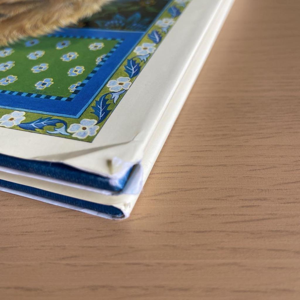 [USED] GLORIOUS CATS (damaged) English book, antique, used book