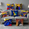 Venezuela Esthetic Artt Pillow Cover Soft Microfiber Pillowcase Home Sofa Decor Surprise Decorative Printed
