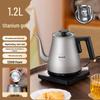 Portable Stainless Steel Electric Kettle with Long Spout for Brewing Tea and Boiling Water