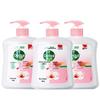 Dettol Kids Healthy Antibacterial Hand Wash