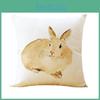 Premium Quality Rabbit Pillowcase Linen Sofa Throw Pillow Cover For Charming Home Decor