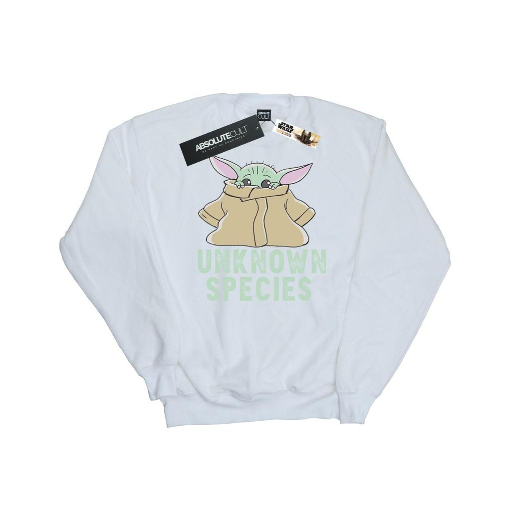 Star Wars Mens The Mandalorian Unknown Species Sweatshirt