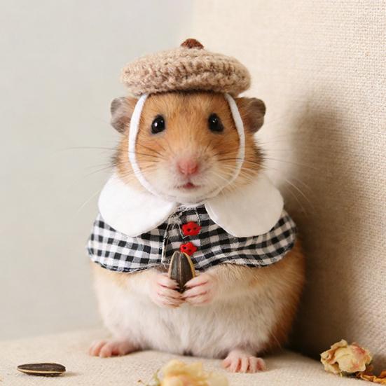 1 Set Abbigliamento per Criceti Cappello a Maglia con Cinturino Regolabile Top all'Uncinetto Costume per Criceti Porcellini d'India Piccoli Animali Accessori Pet