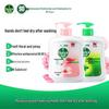 Dettol Healthy Antibacterial Hand Wash Twin Pack