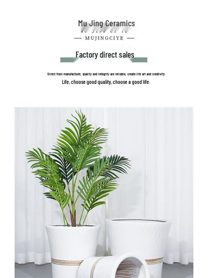Large Ceramic Flower Pot with Tray for Indoors/Outdoors, Suitable for Succulents & Green Plants