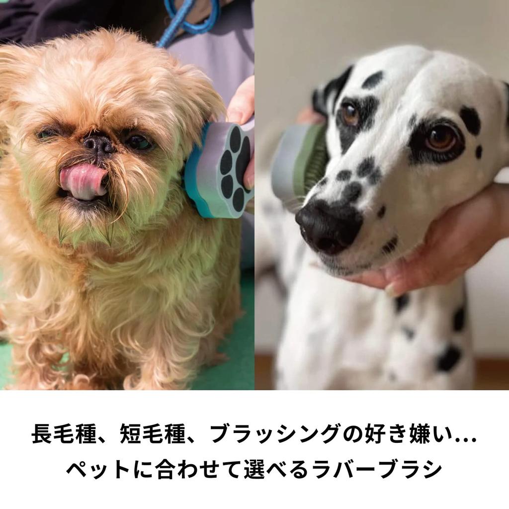 HARIO Pet Brush Glutte for and Olive Dogs, Cats, Short-Haired Breeds, Hard, Green, PTS-GTH-OG