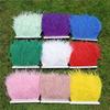 10Meters/Lot Ostrich Feathers On Ribbon Tape 10-15Cm  Feather Trim Boa For Clothes Sewing Fringe Diy Wedding Decoration