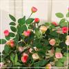 Multicolor Rose Artificial Flower Vine Silk Petals Length 180cm Simulation Flower Vine Green Leaves 54 Heads