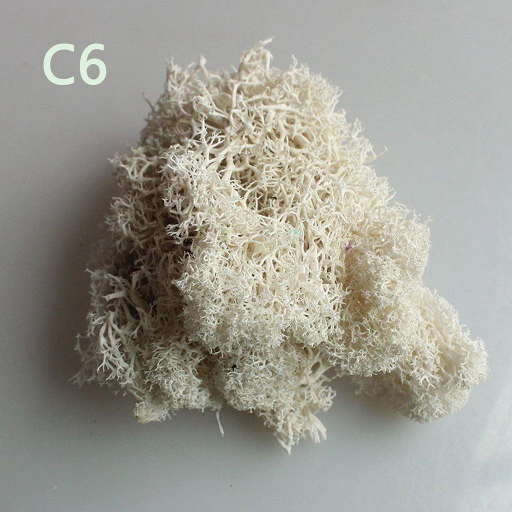 Decor Christmas Wedding Decoration Artificial Plant Reindeer Moss Micro Landscape Eternal Life Moss