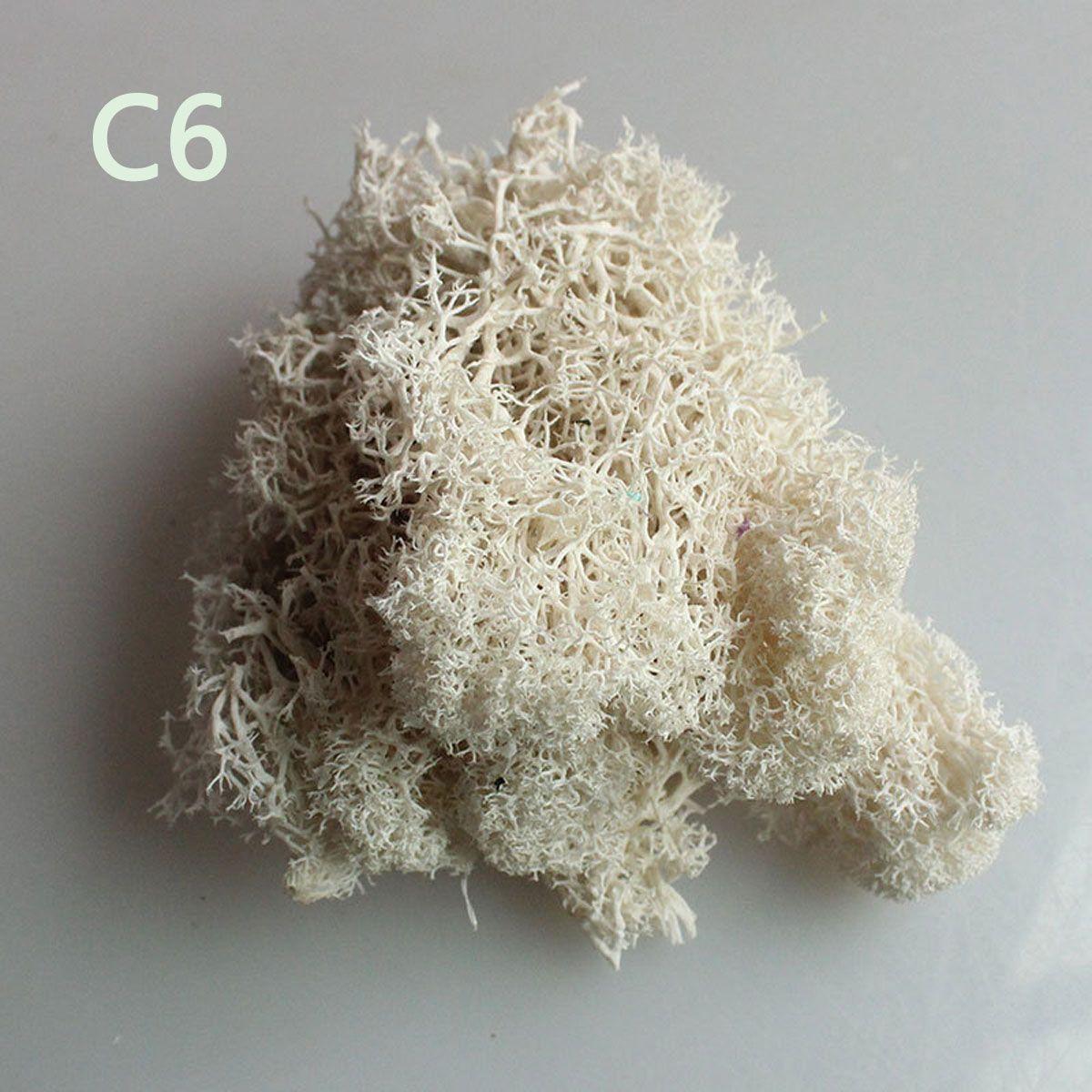 

Украшение Рождественский цветок Искусственное растение Мох олений Вечный мох Микроландшафт C6