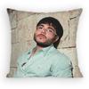Singer Tito Double P Pillow Case Sofa Living Room Bedroom Headboard Backrest Cushion Square Cushion Nap Time