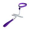 Sensual Collar & Leash Set for Role Play and Training