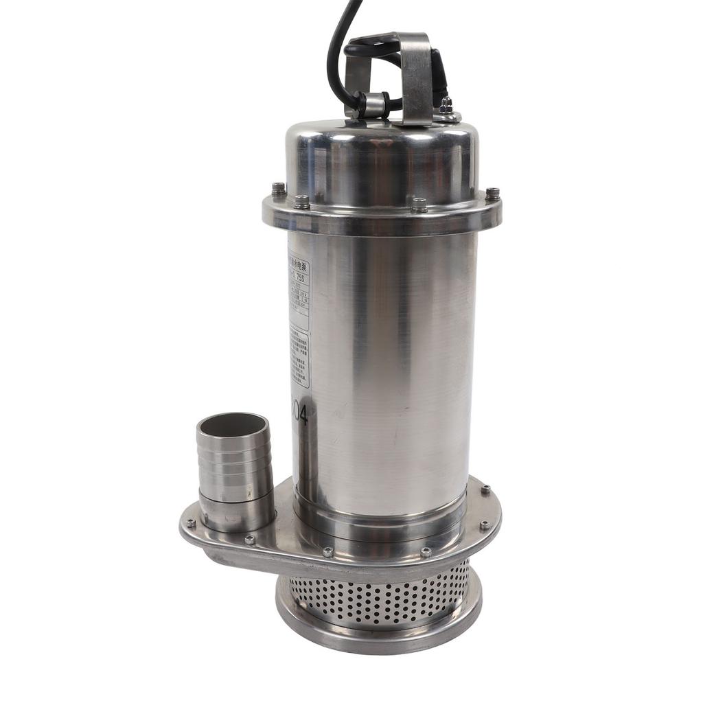 Tauchpumpe Edelstahl Hauswasserwerk Elektrisch Korrosionsbeständig Meerwasserpumpe 750W 220V