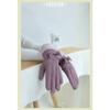 Winter Ladies Gloves Plus Velvet Padded Rainproof Gloves Outdoor Windproof and Cold Proof Warm Touch Screen