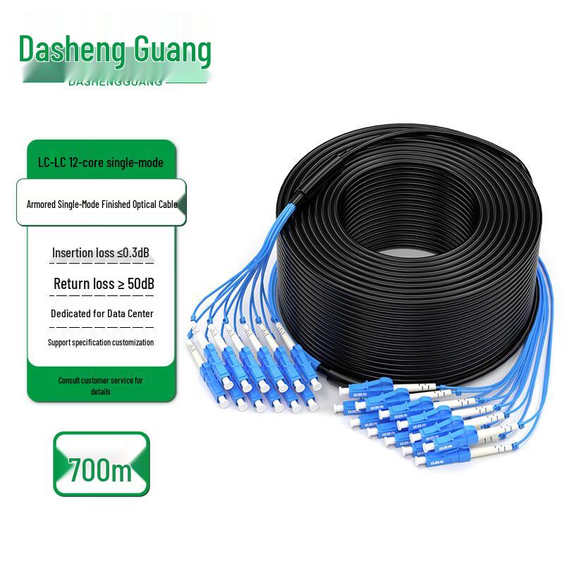 Dasheng Optic Outdoor Armored Single-mode LC-LC Fiber Optic Cable
