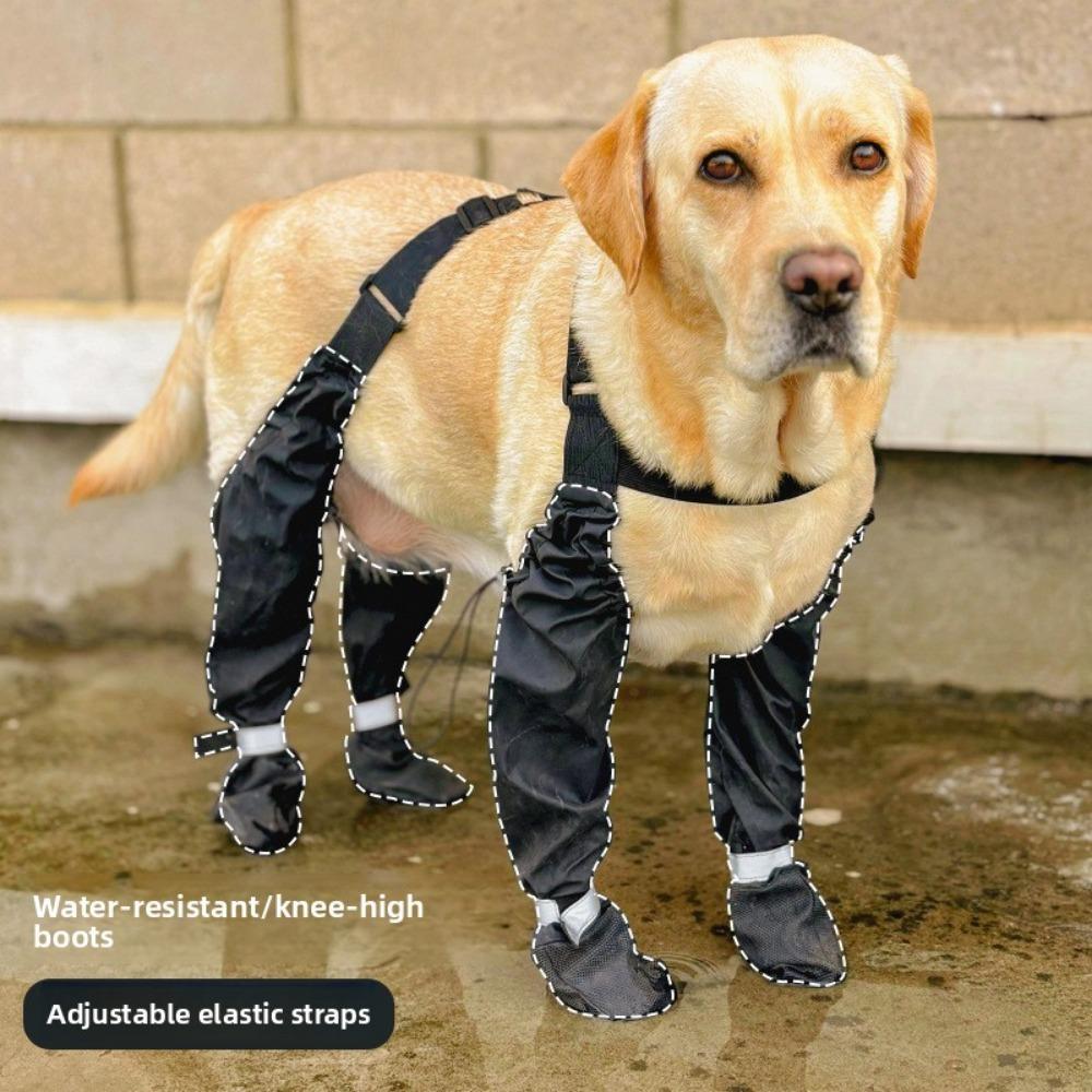 Gå ut hundskor smutsavvisande hundskor anti-hundskor elastiskt band reflexband husdjursskor vattentäta
