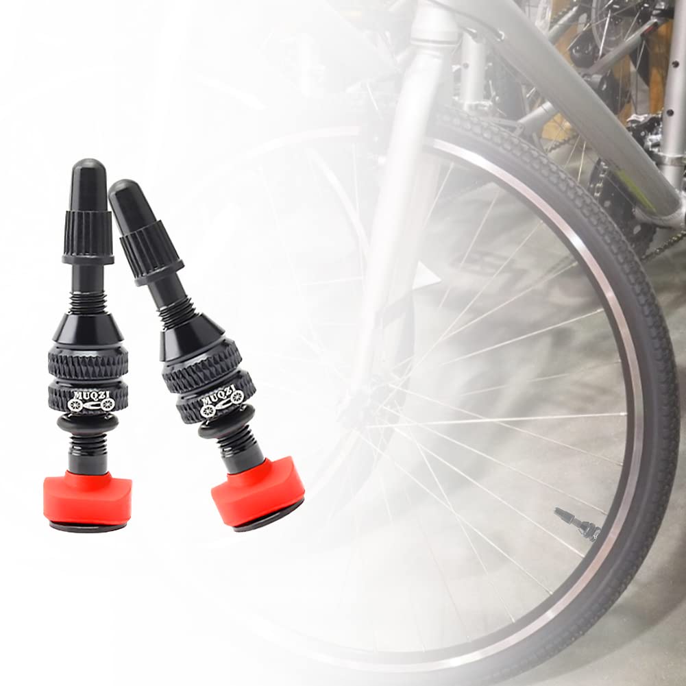 Kigauru 1 Pair Bicycle Fulcrum Tubeless Valve 40mm Length Aluminum