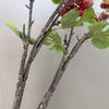 Large Simulation Hawthorn Branch with Single Stem and Fruit for Vase Decoration and Floral Art Props