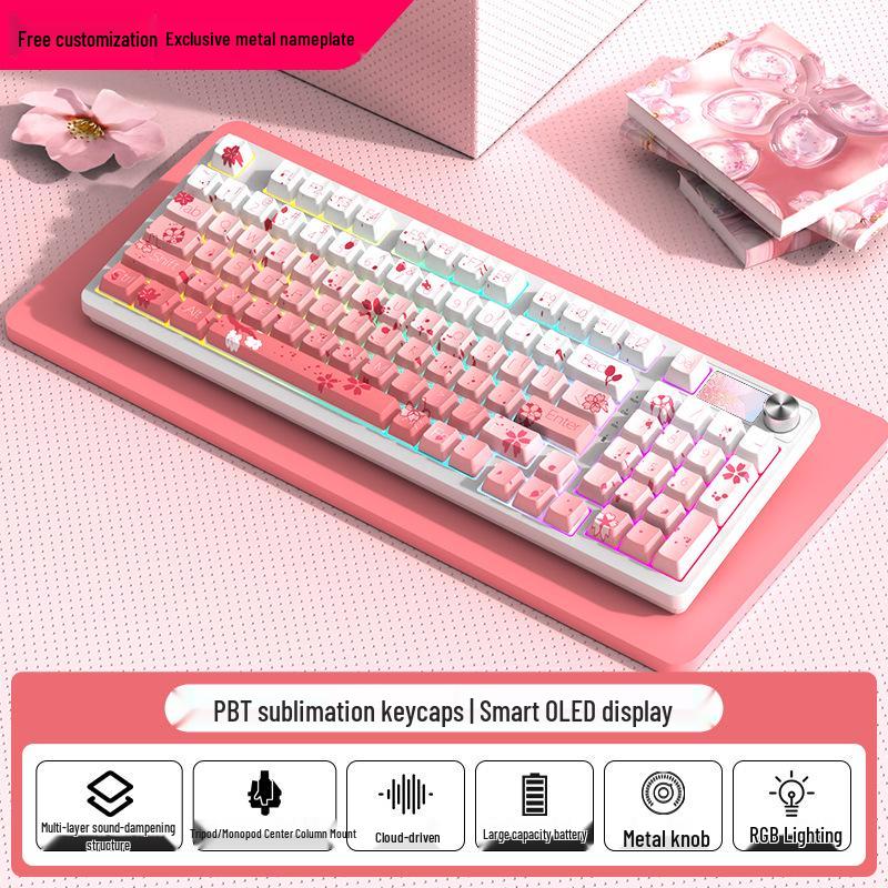98-Tasten Kabellose Bluetooth Tri-Mode Mechanische Tastatur mit Blauen, Schwarzen, Braunen, Roten Schaltern - RGB für Gaming, Büro, Esports, Mädchen.