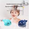 Summer Bath Toys for Infants: Swimming Turtle, Dolphin & Cute Duck