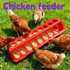 Poultry Feeder Trough Anti-waste Chicken Birds Waterer Feeding Bucket Chicken Water And Food Dispenser Bowl