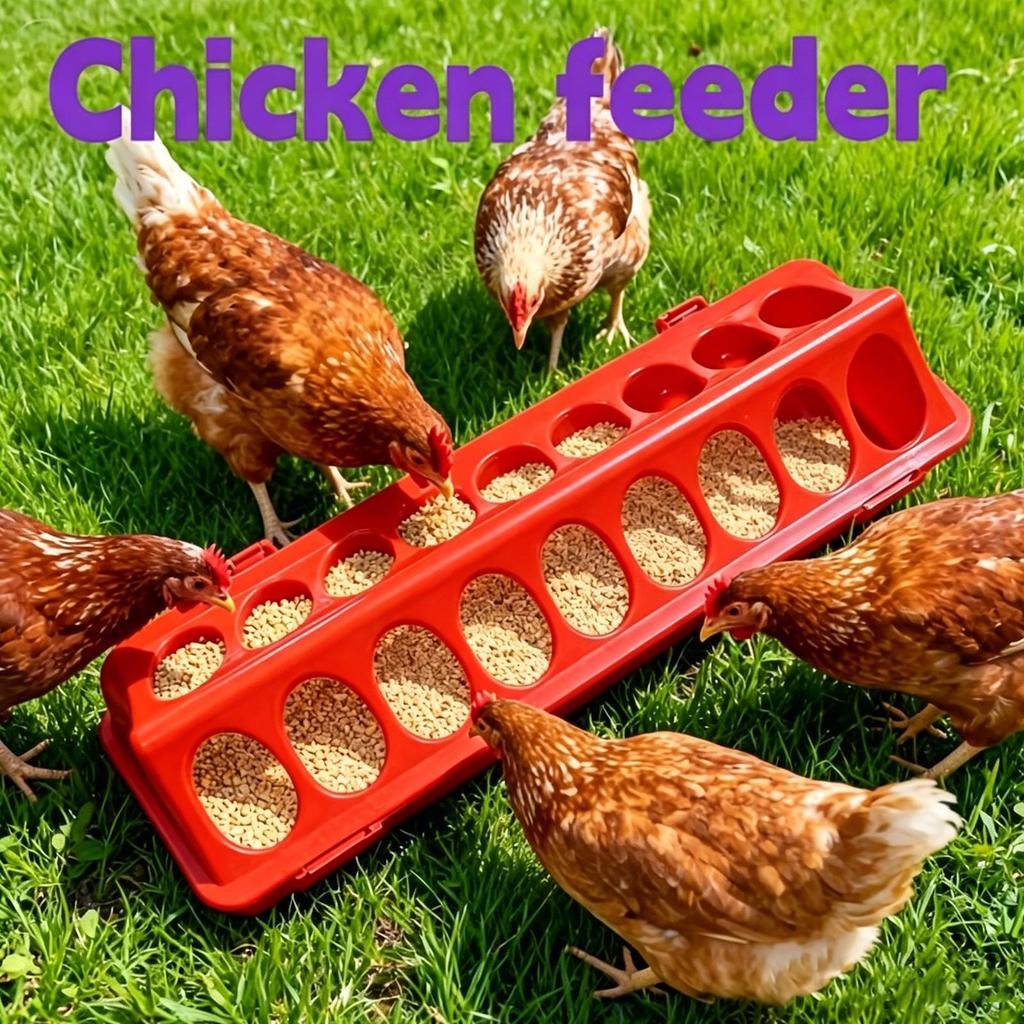 Poultry Feeder Trough Anti-waste Chicken Birds Waterer Feeding Bucket Chicken Water And Food Dispenser Bowl