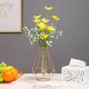 Metal Frame Vase with Clear Glass Tube Hydroponic Container for Desk Decoration