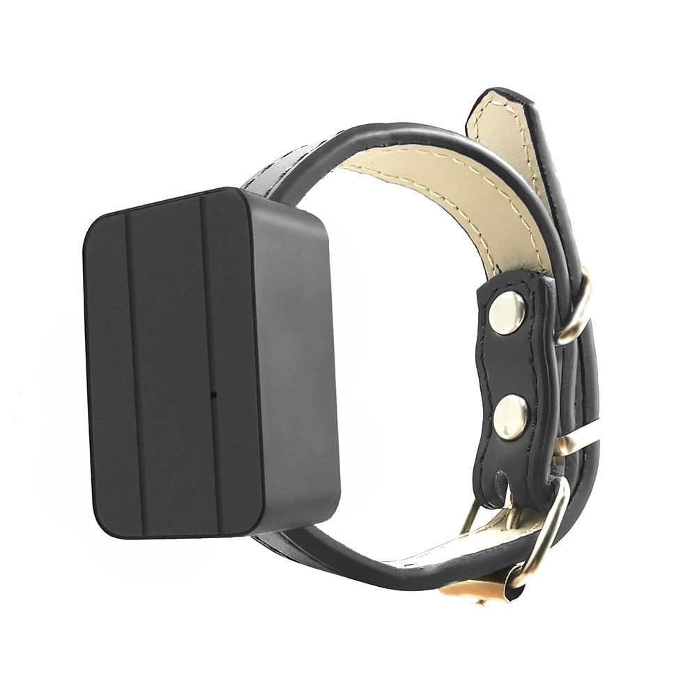 4G Pet GPS Tracker for Cats and Dogs with BeiDou GNSS Positioning Australia Version