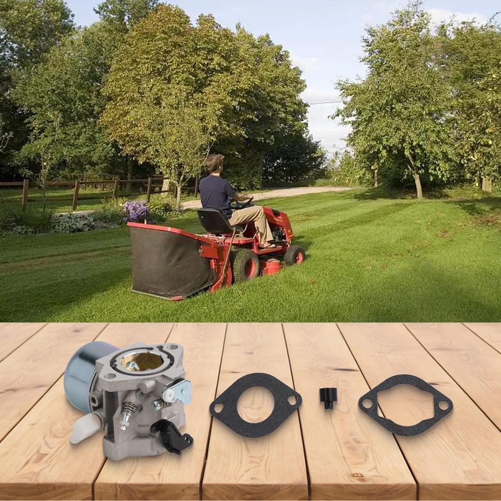 Carburetor Replacement for 699831 694941 286702 286707 28R707 28D707 Lawn Tractor Mowers with Gaskets and Parts