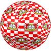 Bayer Leverkusen Theme Size 5 Soccer Ball, Suitable for Both Indoor and Outdoor Matches, a Gift Suitable for Everyone.