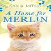 A Home for Merlin by Sheila Jeffries Paperback Book 9781787395756