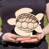 Sea Turtle Seaglass Display Box Wooden Tortoise Shell Holder Storage