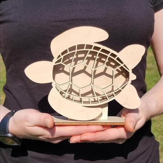 Sea Turtle Seaglass Display Box Wooden Tortoise Shell Holder Storage