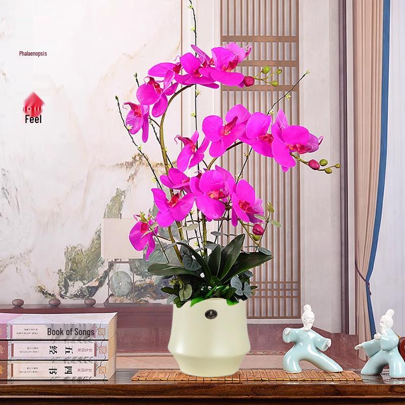 Artificial Phalaenopsis Flower Set: Indoor TV Cabinet Decor