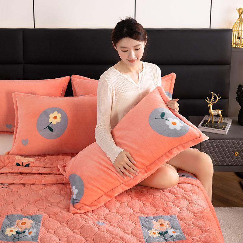 Winter Milk Velvet Flannel Pillow Set - Double-Sided Warm Pillow Core & Cover for Single/Double, Ideal for Students & Adults