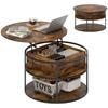 Round Coffee Table with Lift-Top, Storage Space, Side Shelves, Steel Frame, Coffee Table, Brown