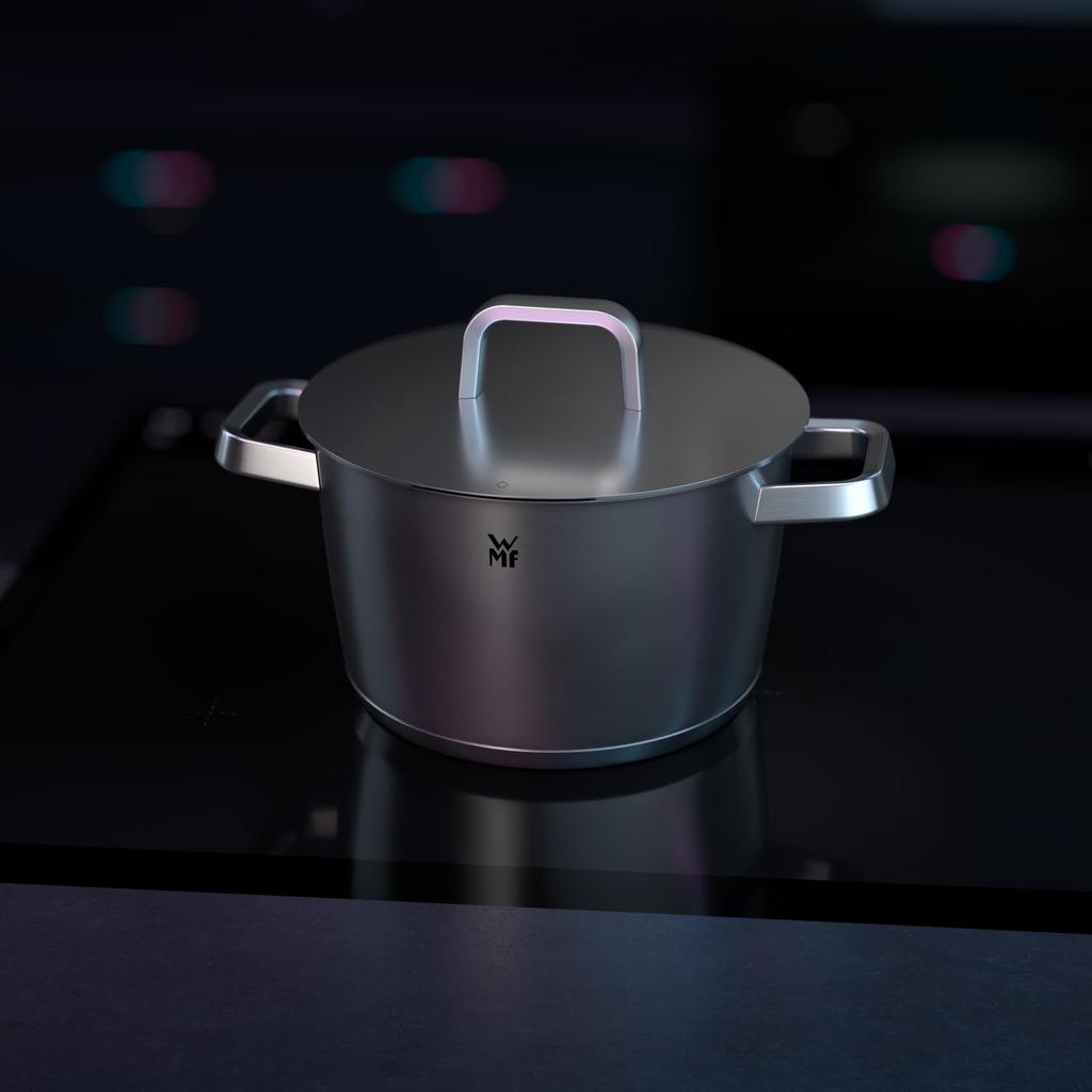 WMF Iconic Large Cooking with Metal Induction Cooking Large Cromargan Polished Stainless Uncoated Pot, 24cm, Lid, Pot, 5.6L, Pot, Steel,