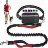 Hands-Free Bungee Dog Leash for Running & Walking - Dual Shock Absorbing, Adjustable Waist Belt, Reflective Stitching, 3 Stainless Steel D-Rings
