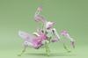 52TOYS BEASTBOX BB 37LO LOTUS