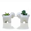 Cartoon Unicorn Ceramic Flower Pot Succulent Pot Planter Desktop Ornaments Art Vase Home Decoration Plant Pot Gardening Pot
